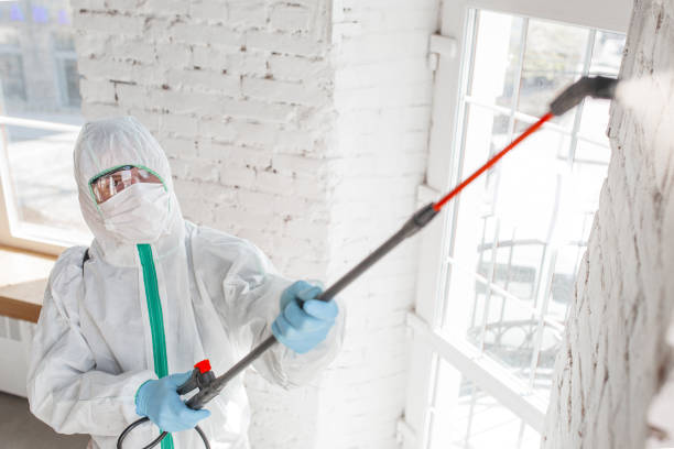 Port Reading, NJ Mold Removal Company